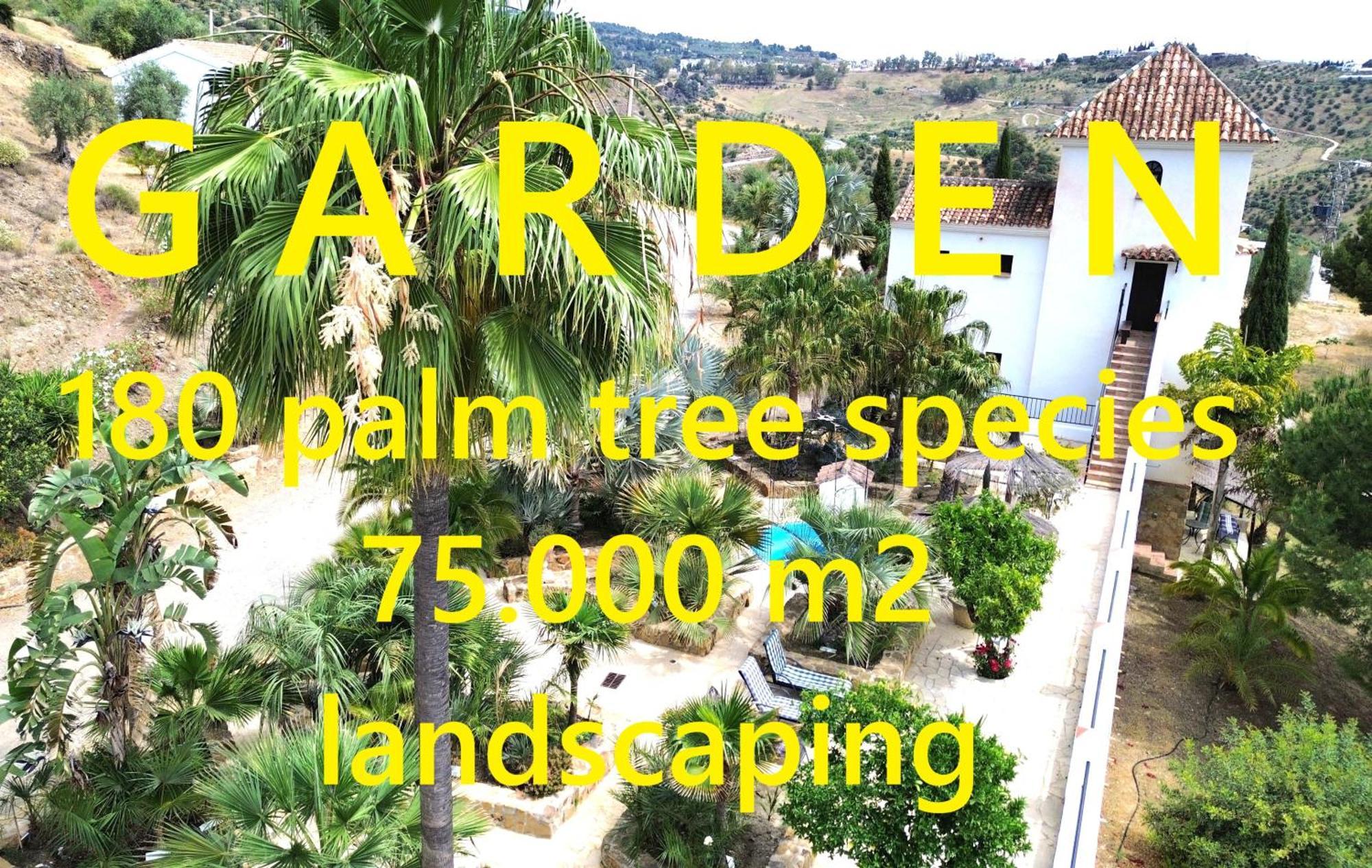 Private Detached Chalet With Own Jacuzzi Mi Dushi 톨록스 외부 사진